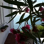 Alojamento de Acomodação e Pequeno-almoço Ambrosio