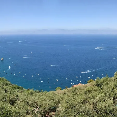 Oda ve Kahvaltı Ambrosio