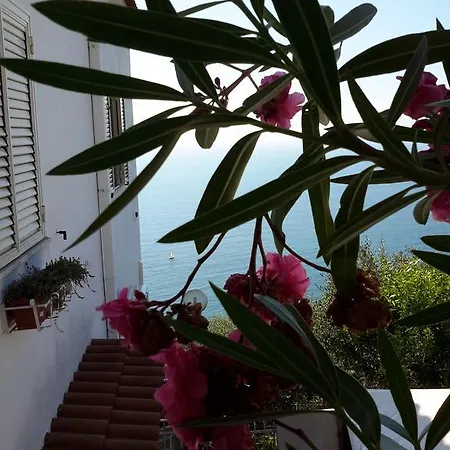 Bed & Breakfast Ambrosio Home