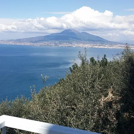 Ambrosio Home